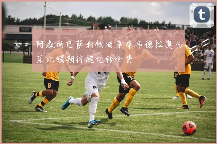 阿森纳巴萨利物浦争夺韦德拉奥戈莱比锡期待超亿转会费