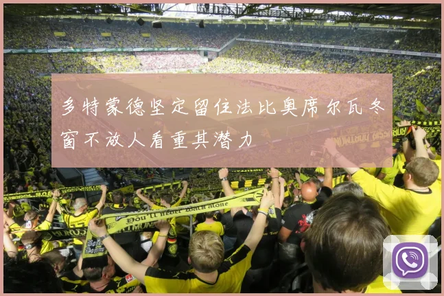 多特蒙德坚定留住法比奥席尔瓦冬窗不放人看重其潜力
